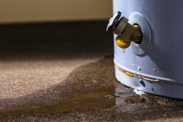 Best Carpet water damage restoration  in Bowie, TX
