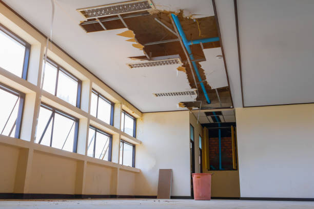 Best Flood damage cleanup  in Bowie, TX