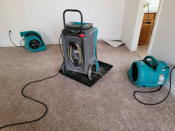 Best Water damage restoration cost  in Bowie, TX
