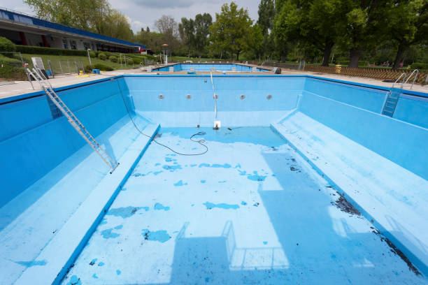 Best Mold removal after water damage  in Bowie, TX