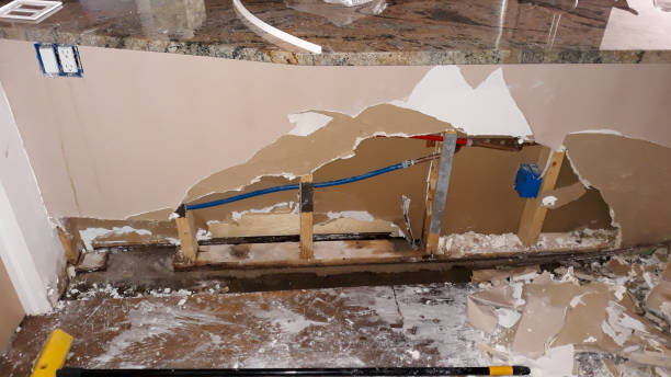 Best Water damage contractors near me  in Bowie, TX