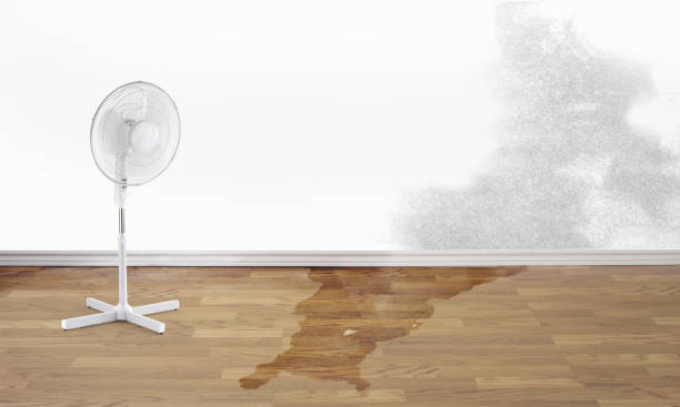 Best Basement water damage restoration  in Bowie, TX