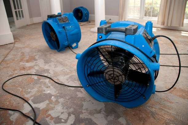 Best Residential water damage restoration  in Bowie, TX