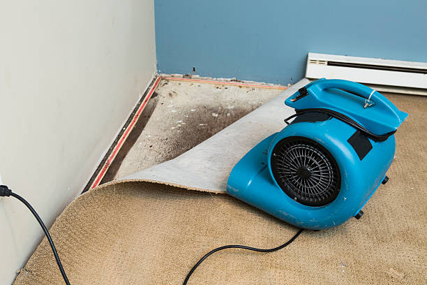 Best Ceiling water damage repair  in Bowie, TX